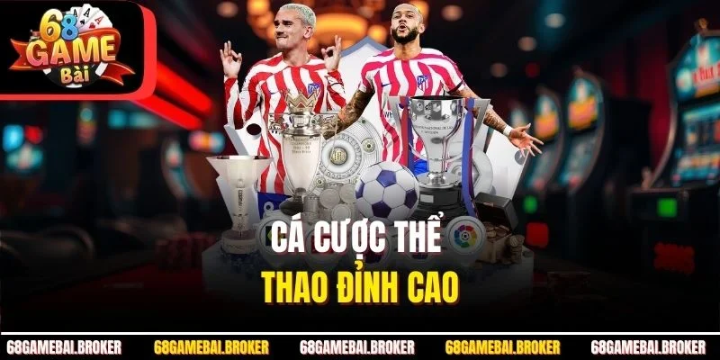 Cá cược thể thao đỉnh cao