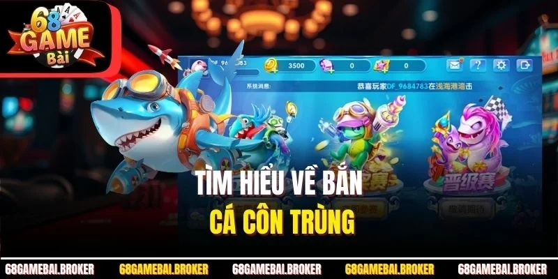 Tìm hiểu về bắn cá côn trùng
