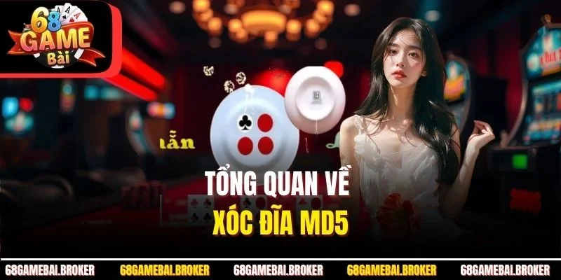 Tổng quan về Xóc đĩa MD5