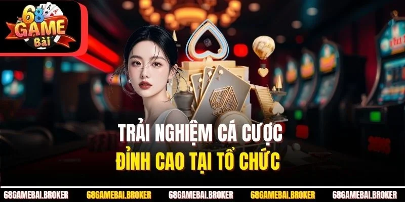 Trải nghiệm cá cược đỉnh cao tại tổ chức  